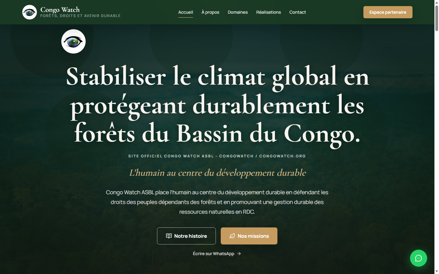 Capture du site Congo Watch
